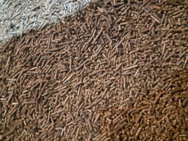 6mm Biomass Briquettes