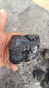 Indonesian Coal Bulk